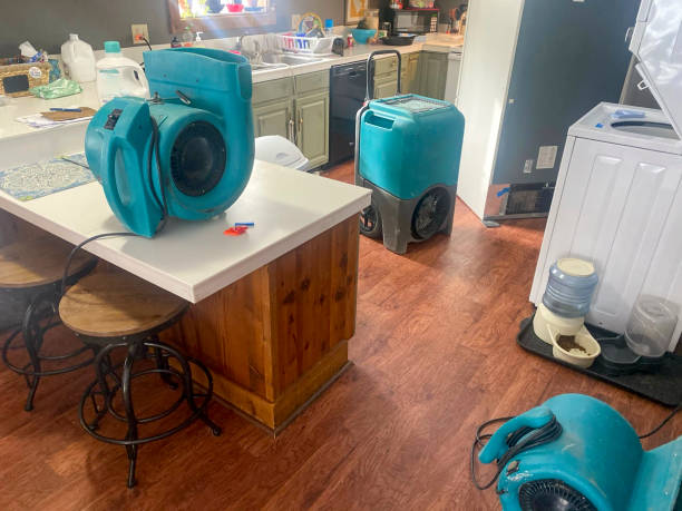 Best Ceiling water damage repair  in Williamsburg, PA