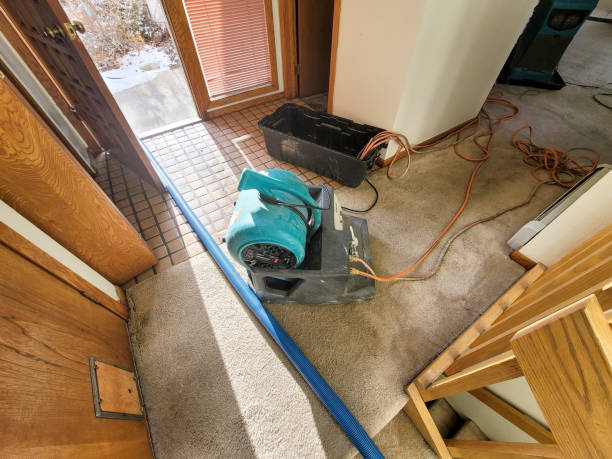 Best Residential water damage restoration  in Williamsburg, PA