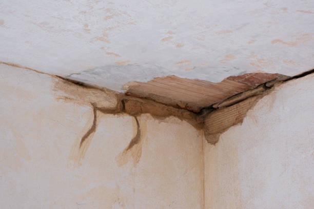 Best Flooded house restoration  in Williamsburg, PA