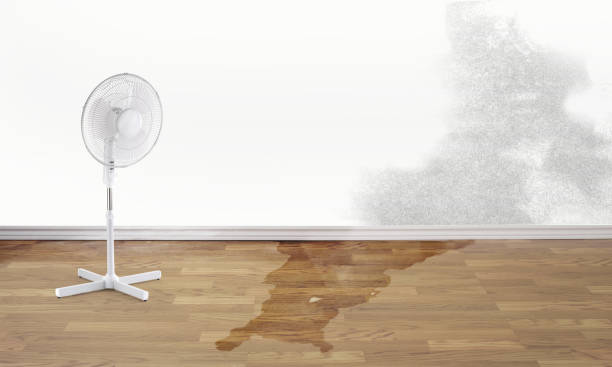 Best 24/7 water damage repair  in Williamsburg, PA